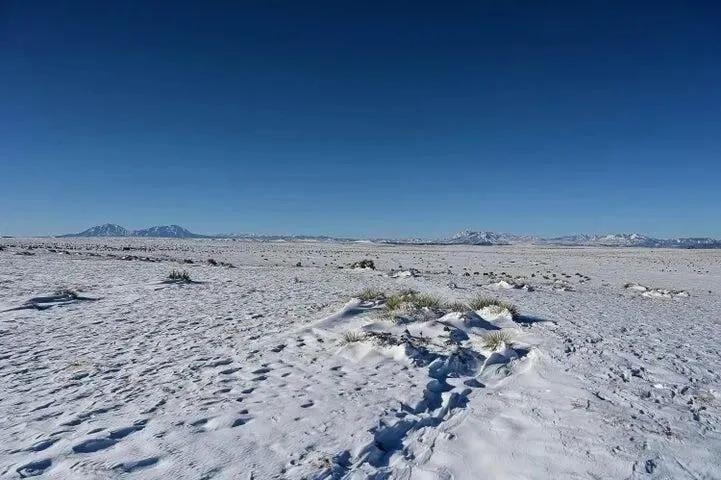 68847026-8