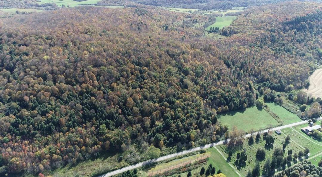 130+ Wooded acres with Scenic Views