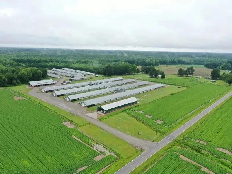 S&N Enterprises | Eight House Broiler Farm in Edgecombe Co., NC