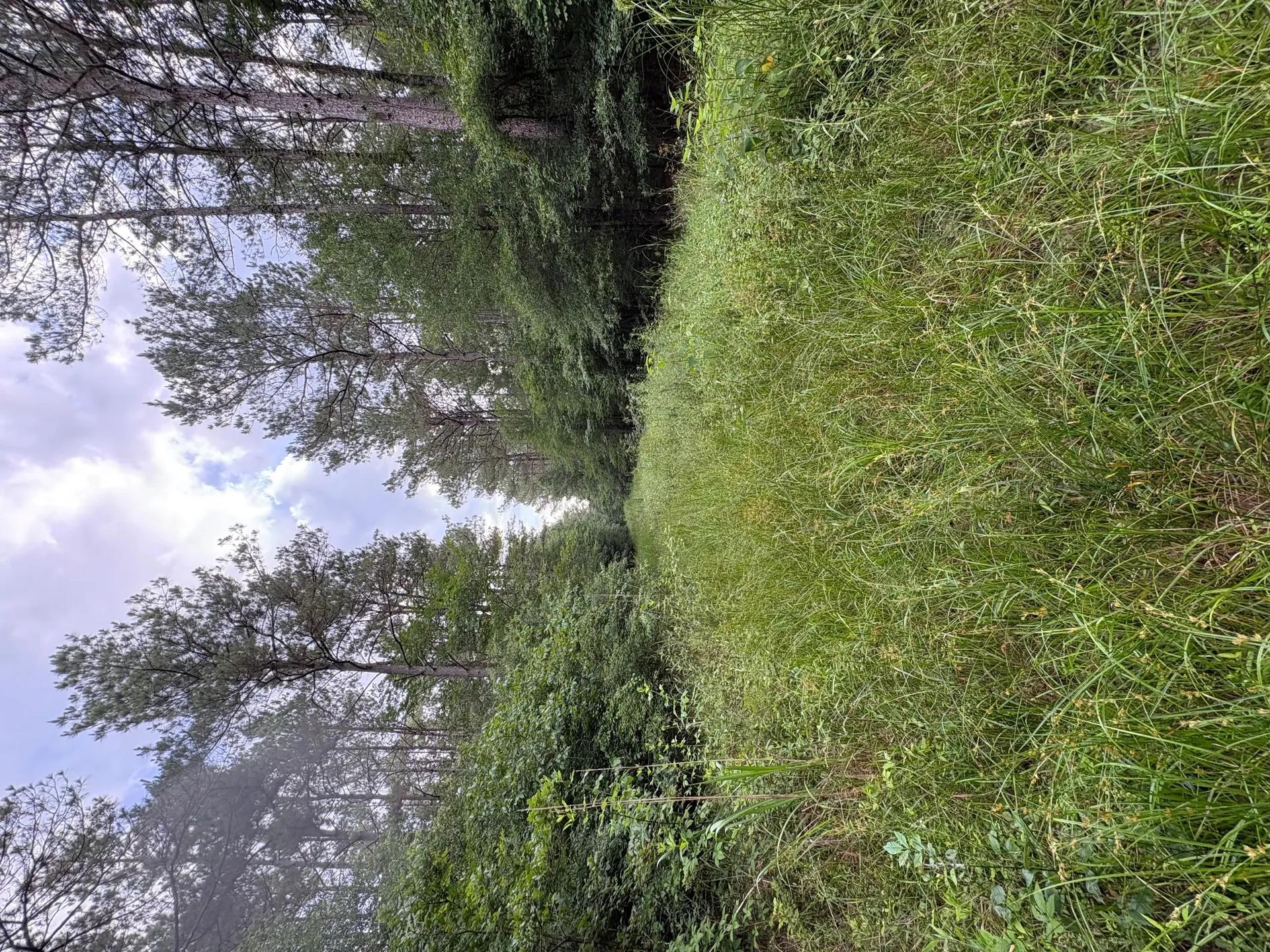 68921690-0