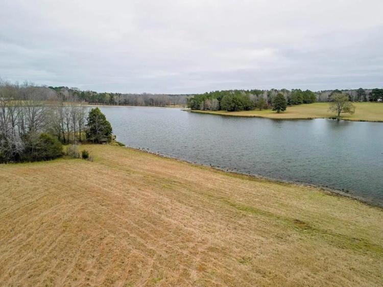 Flora Mississippi 34+- Acres for Sale