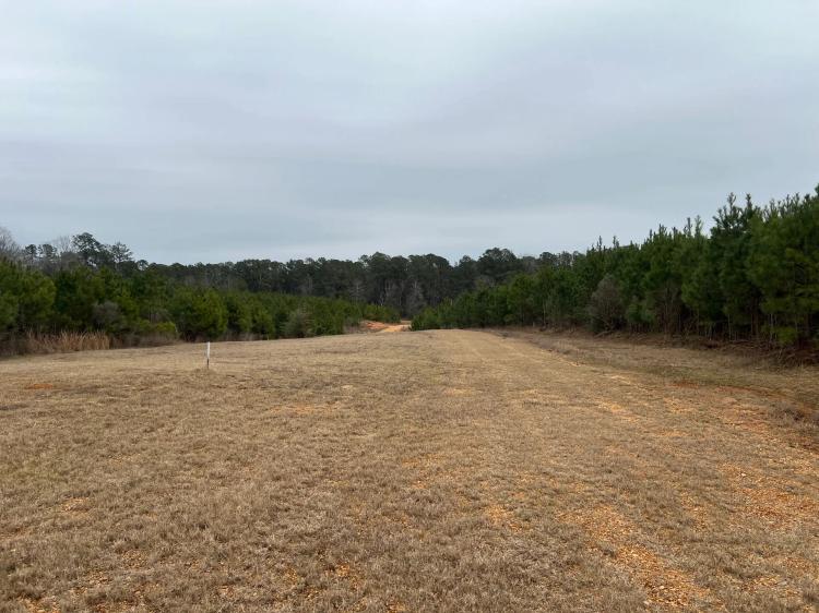 10 Acres in Lincoln County, MS 