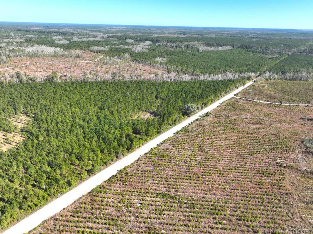 35 +/- Ac Land for Sale Chaney Road Tract 9 - Camden County, GA