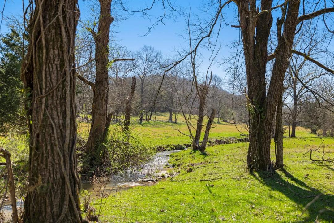 Welcome To Turkey Ridge In The Rolling Hills Of Petersburg, TN