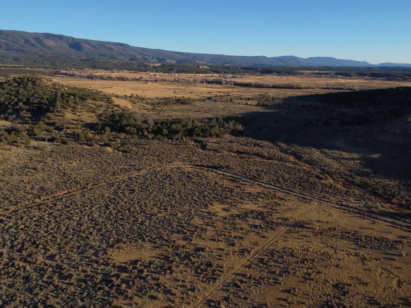 DJI_0697