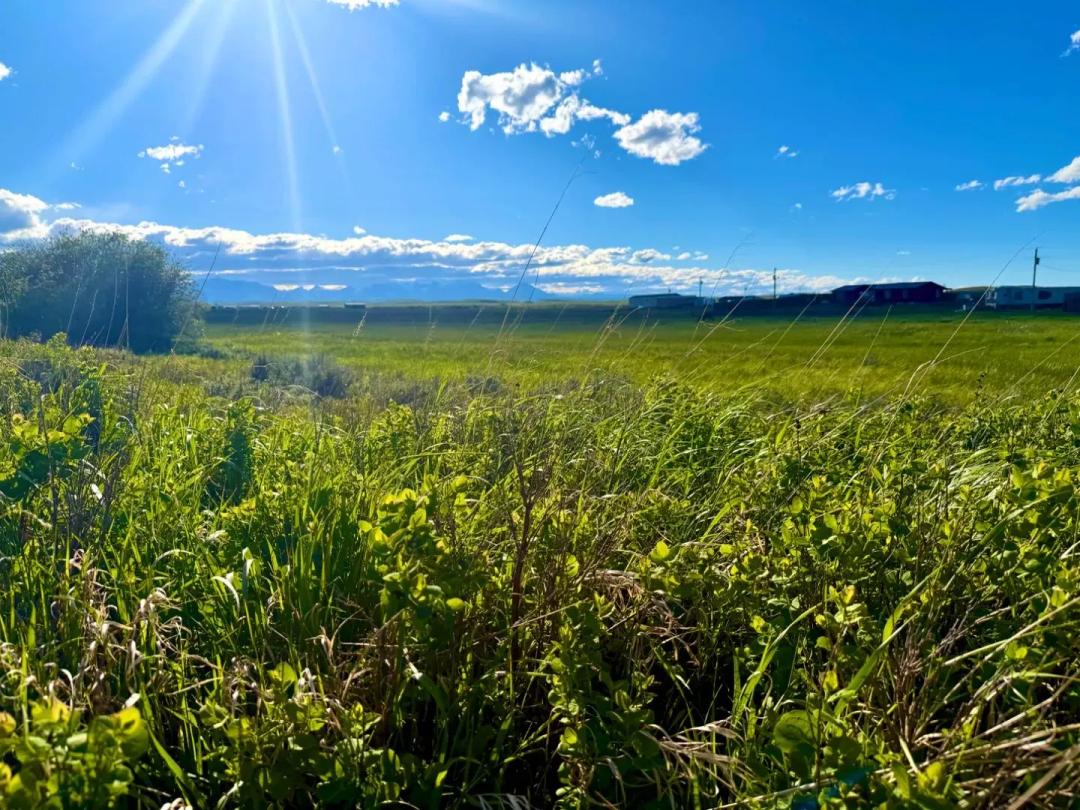 Affordable Acreage in Glacier County