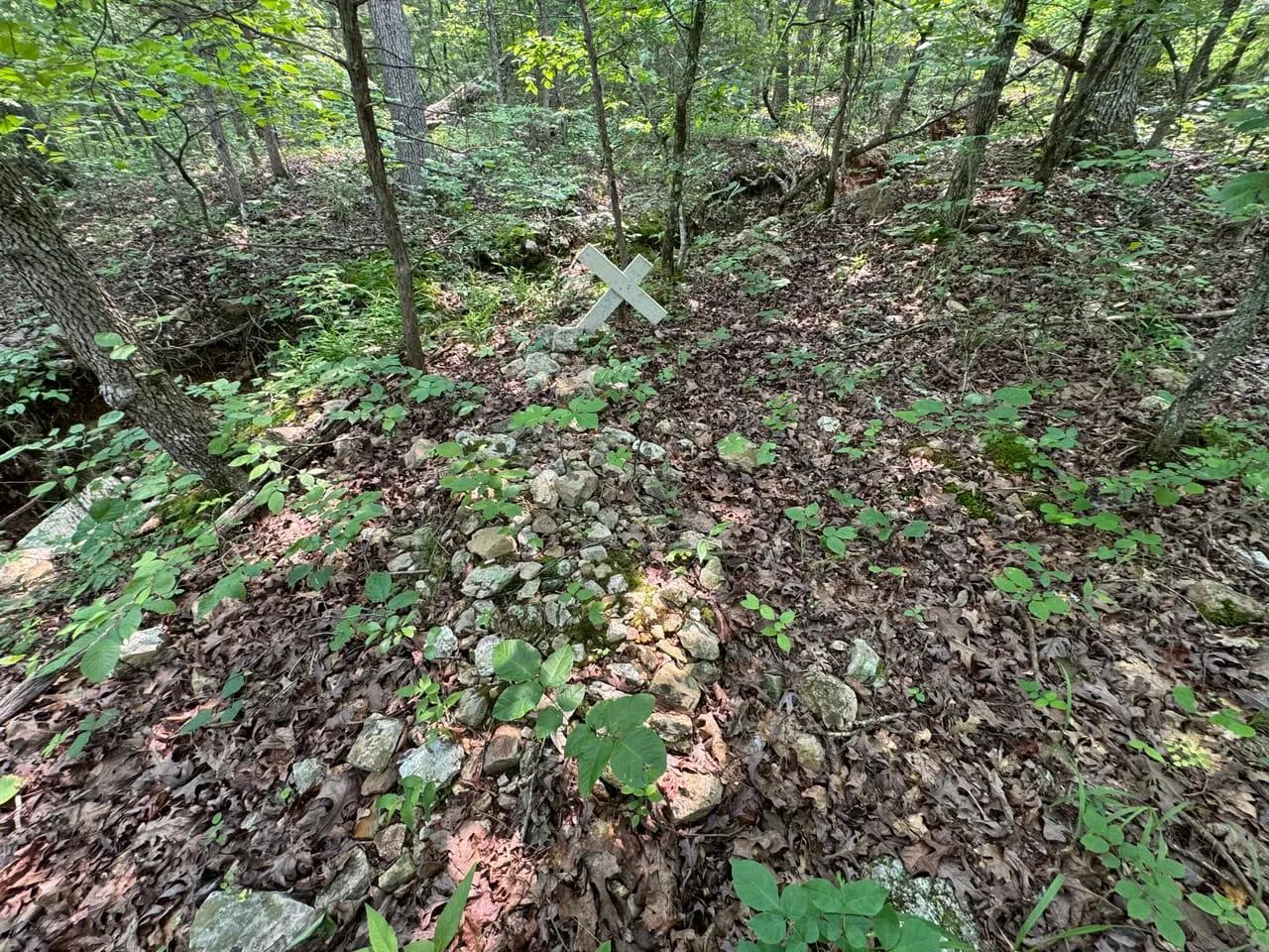 69076901-39