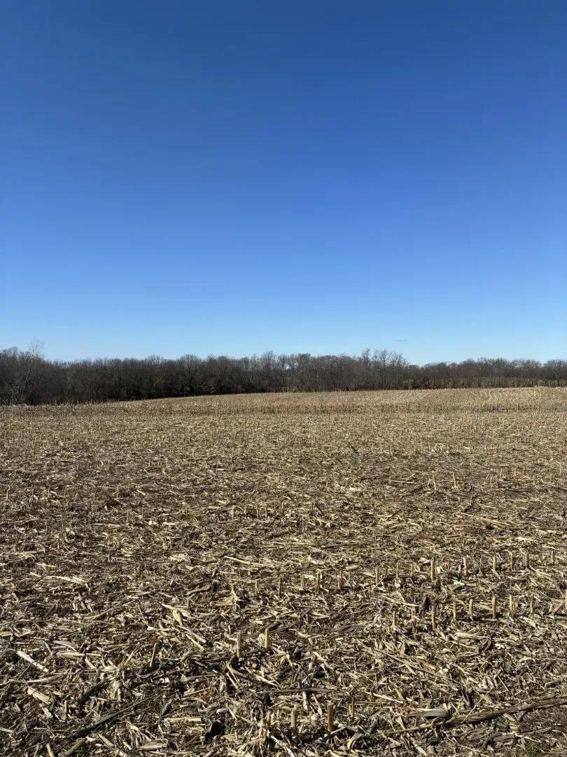 40-Acre Farm in Maysville, Missouri for Sale - Row Crop & Timber