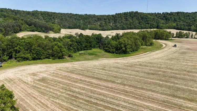 Rare 172+/- Acres in Knox County