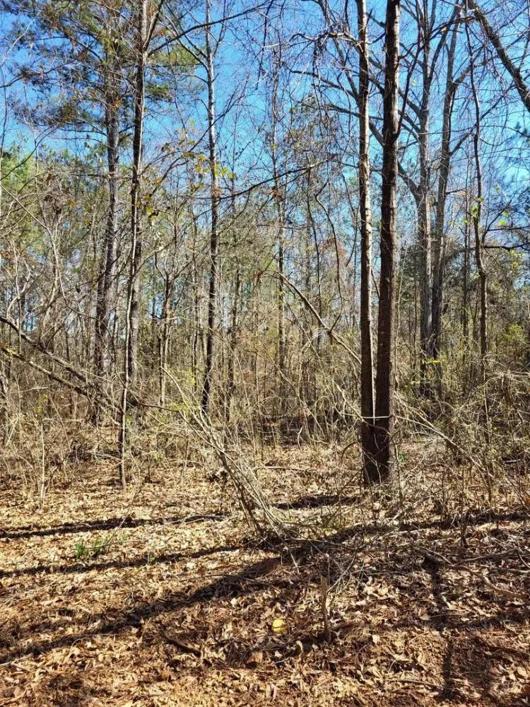 Talladega County Mini Farm 7.8 acres