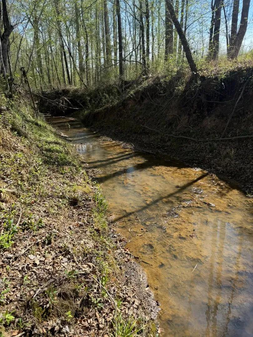 160 Acres in Winston County, MS 