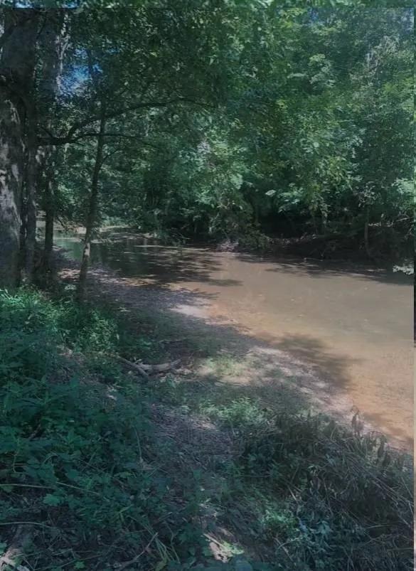 Prime Recreational Lot on Peters Creek