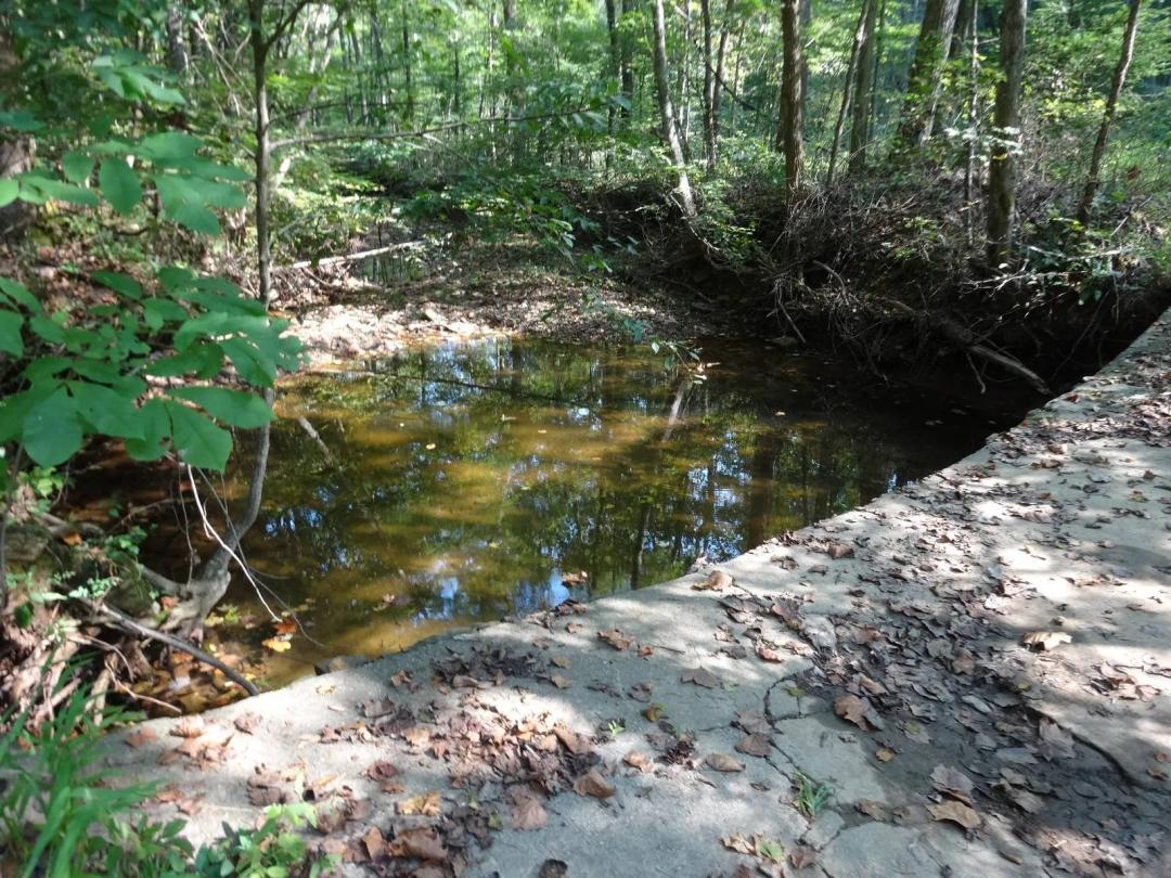 3.23 ACRES-CREEK-ALL WOODED-BORDERS GOV.LAND-UTILITIES NEARBY
