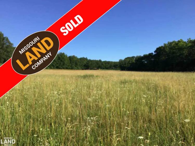80+/- Acres of Prime Hunting Ground Next to the  Lake