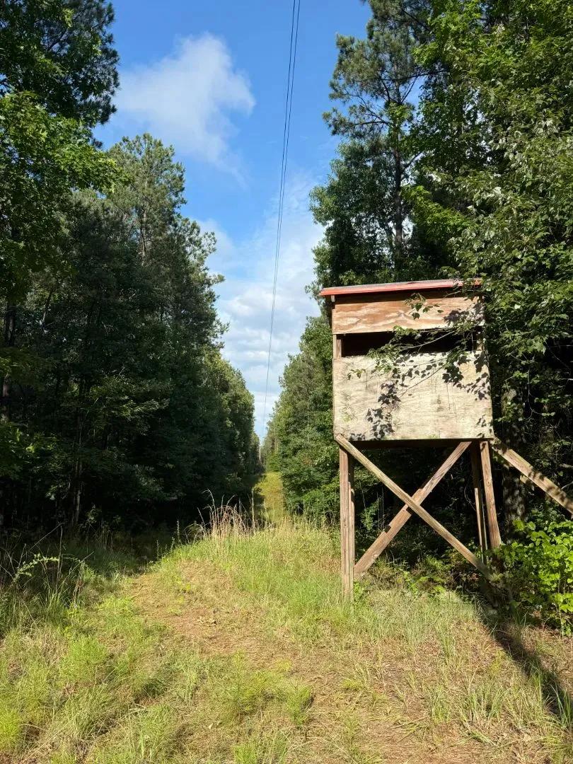 50 Acres in Attala County, MS 
