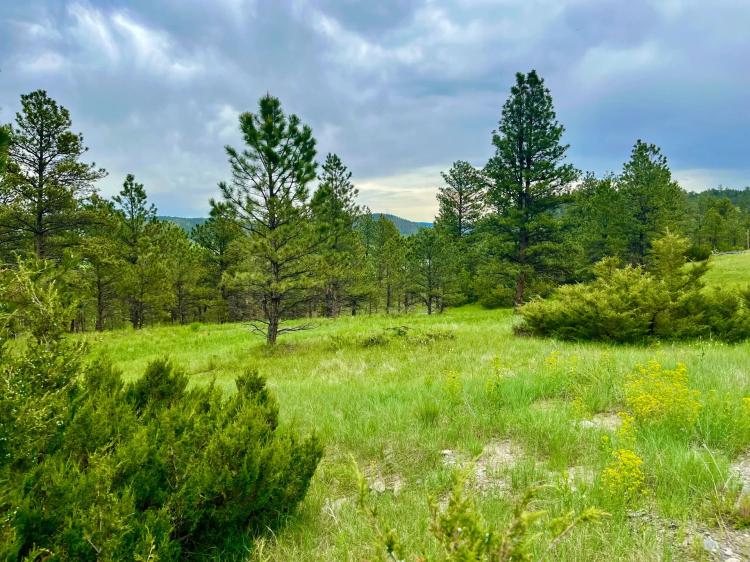 Countryman Creek Ranch Acreage