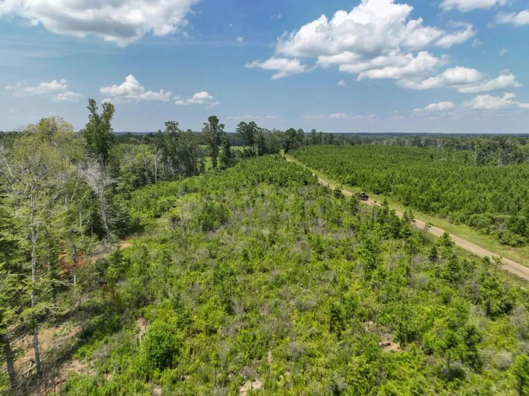 13 Acres | T-2 | Firetower Road | 1029