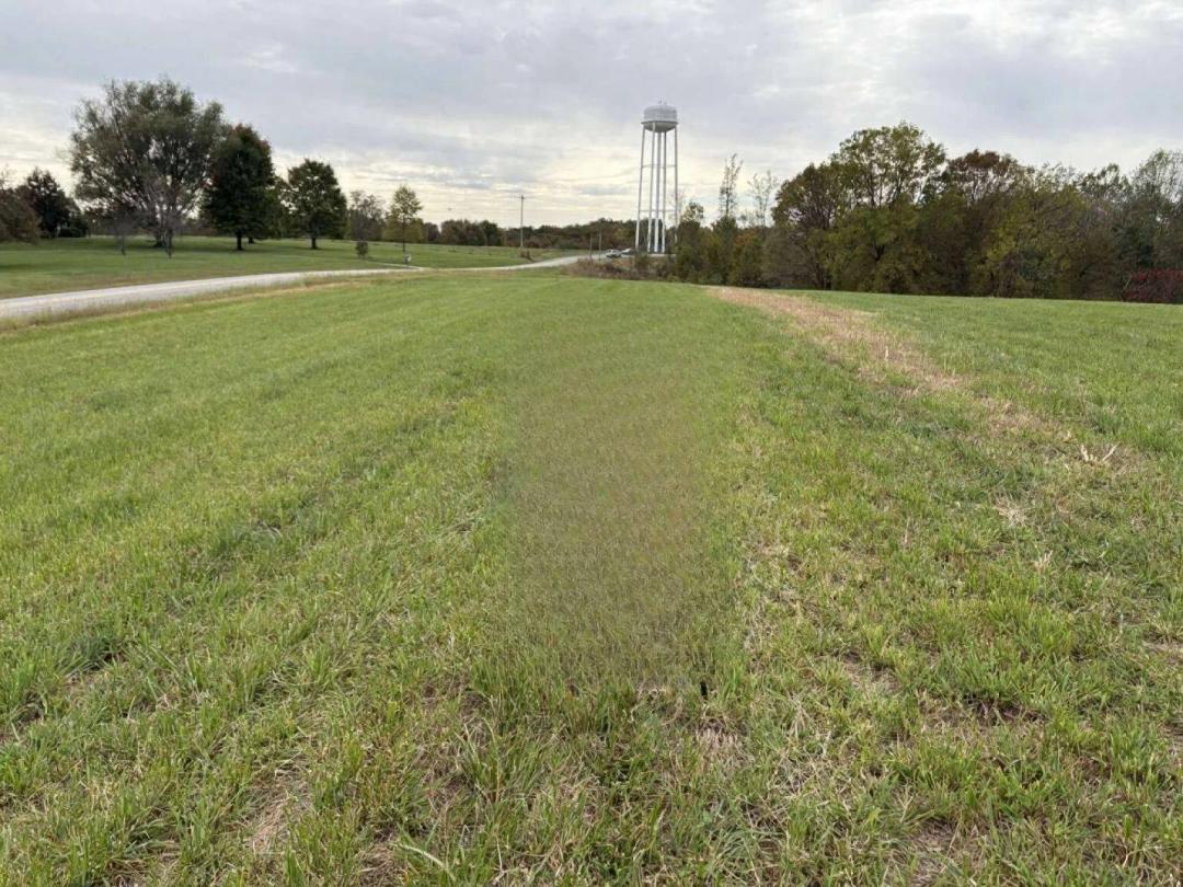 75.78 Acres at 3356 Caldwell Ridge road