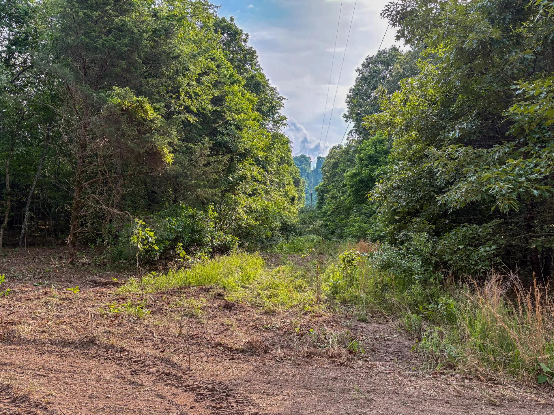 69327232-11