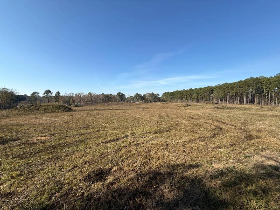 Winston County Residential Development Opportunity