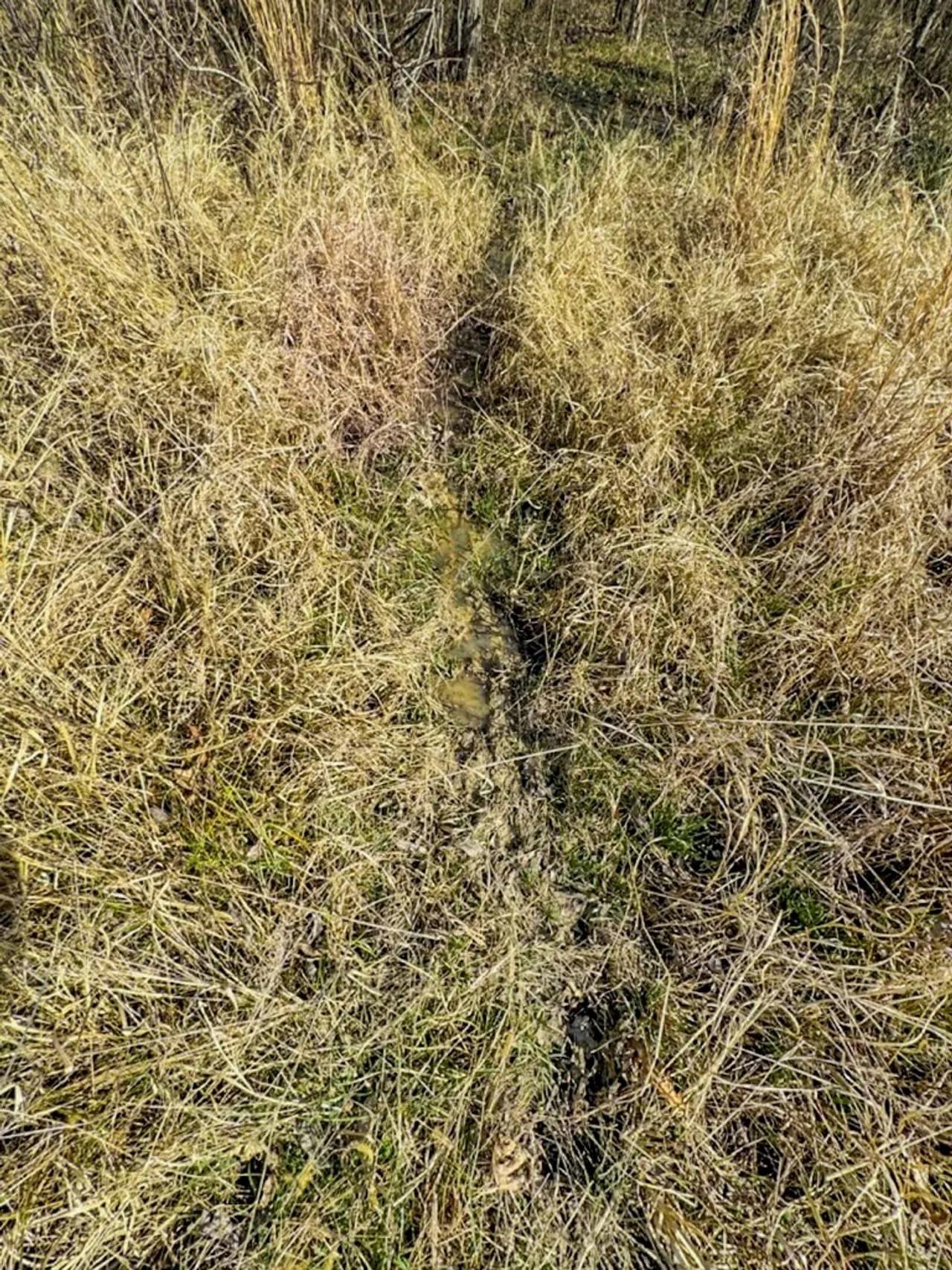 69351148-41