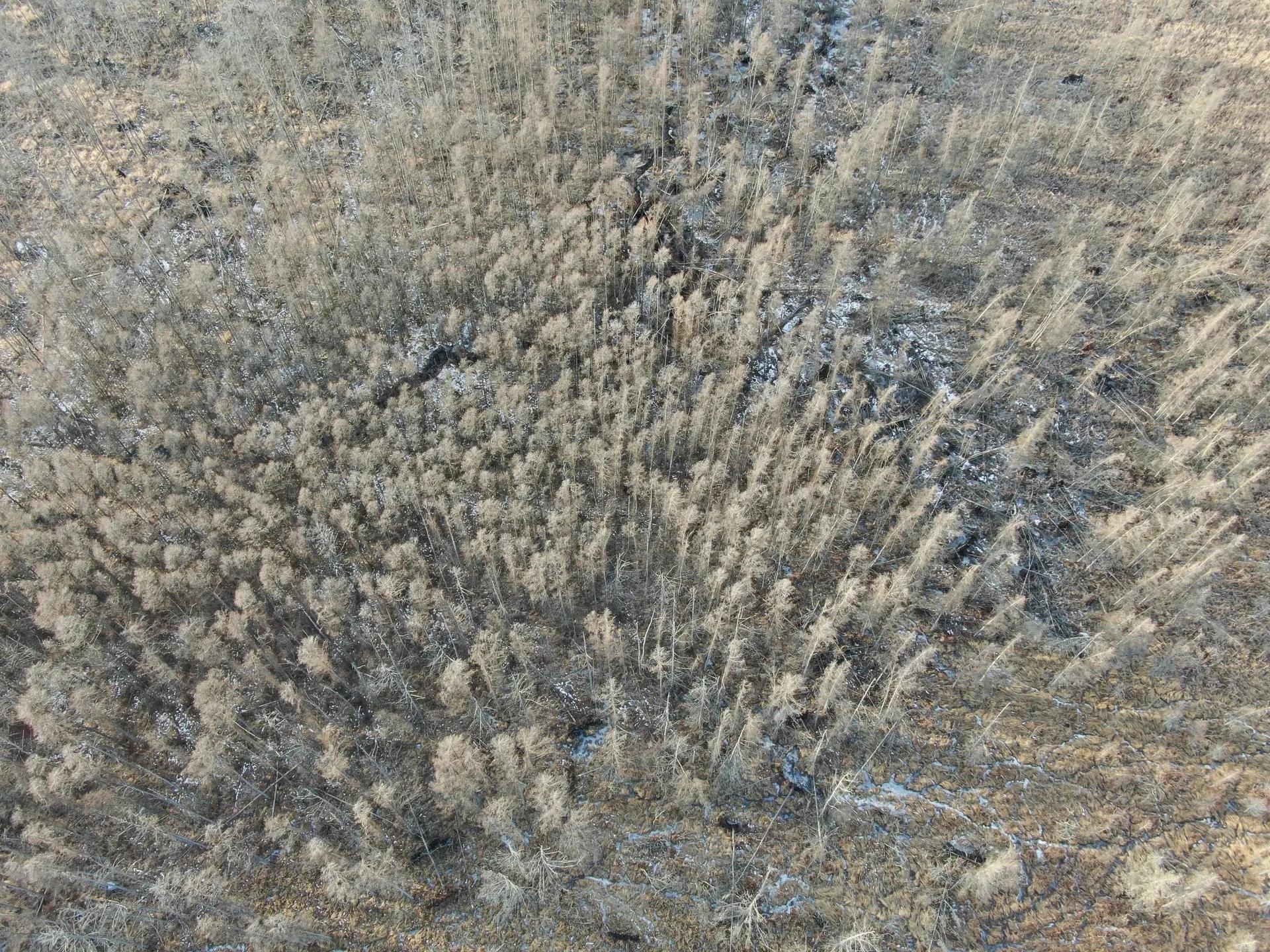 69361857-7
