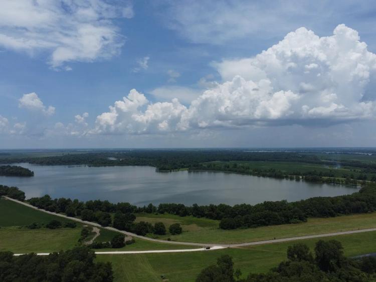 153.00 Acres at 000 Horseshoe Circle