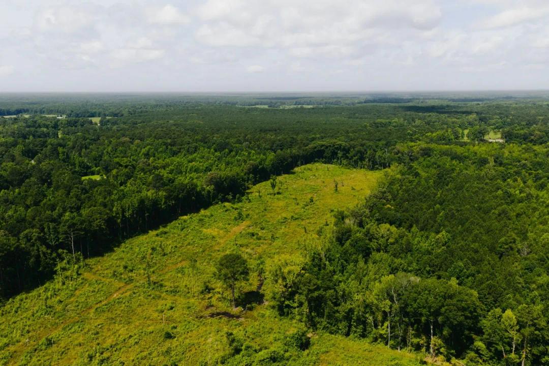 70 Acres in Scott County, MS 