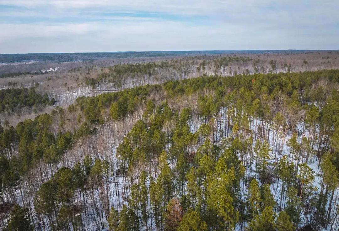 Barnett Hollow Tract 1