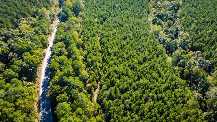 50.00 Acres at 140 Topsy Road