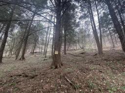 69443804-15