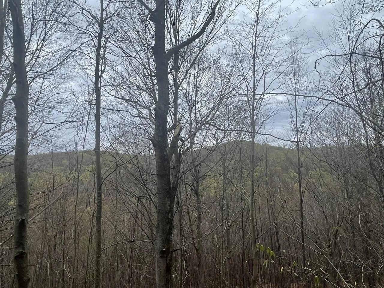 69443804-31