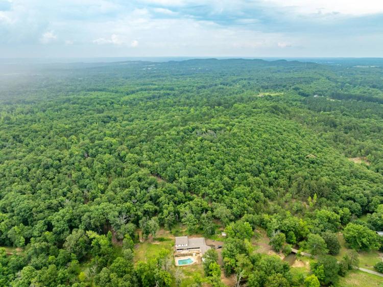 ABSOLUTE AUCTION |CONWAY 201+/- ACRE | Wilson Auctioneers