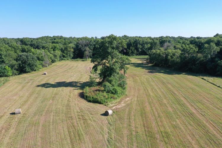 35+/- Acre Outdoor Paradise With Cabin