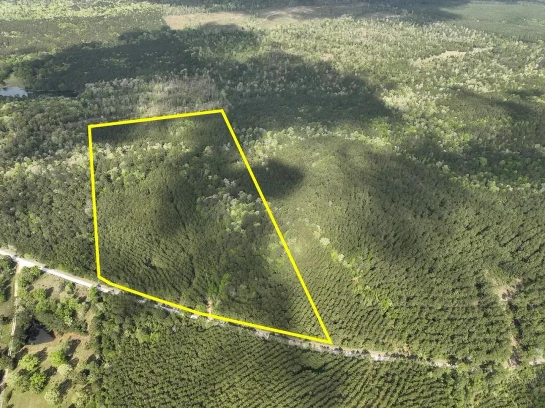 45 Acres | T-2 | CR 4280 | SN6327