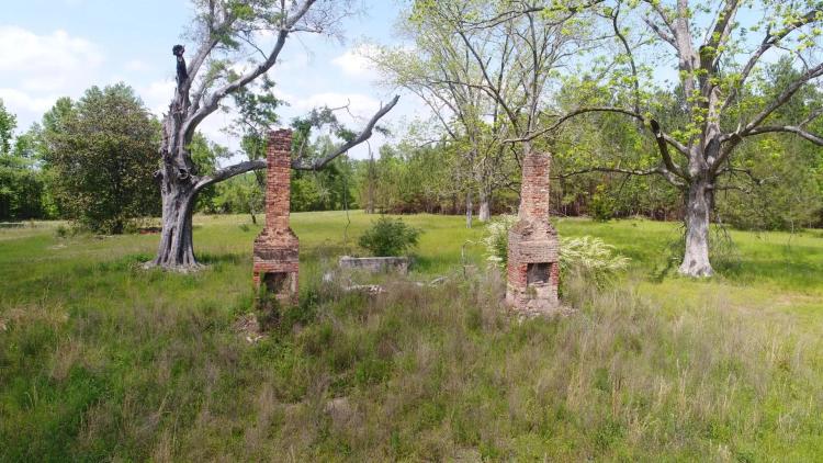 136+/- ac Crenshaw Co Honoraville