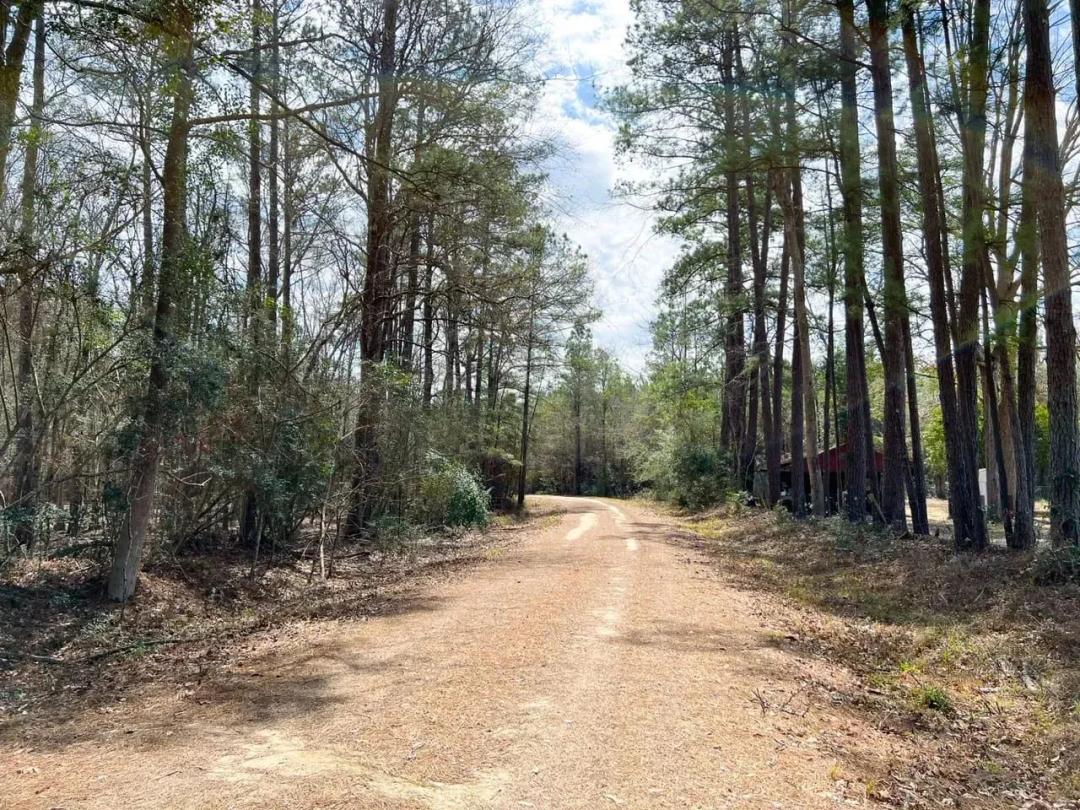 23 Acres | T-2 | FM 1746