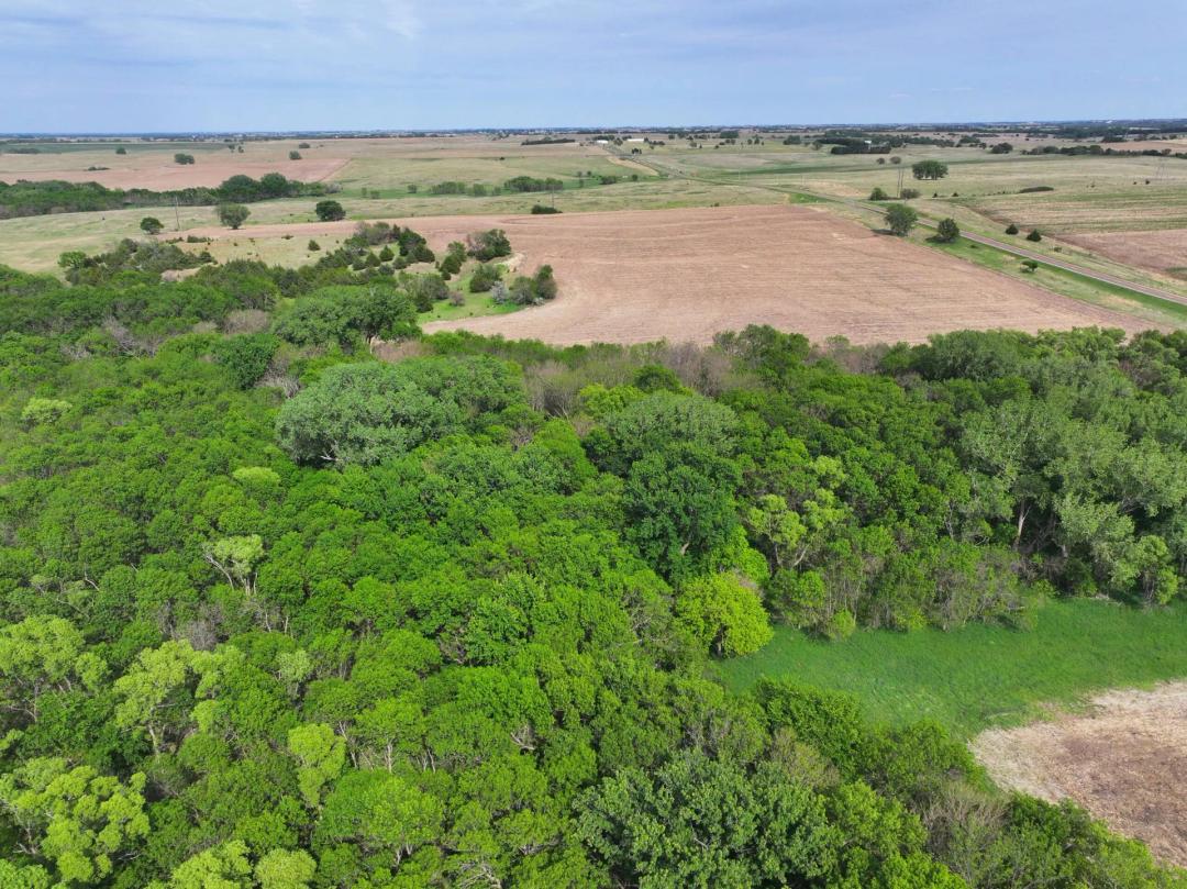 638 Acres, Webster County Combo