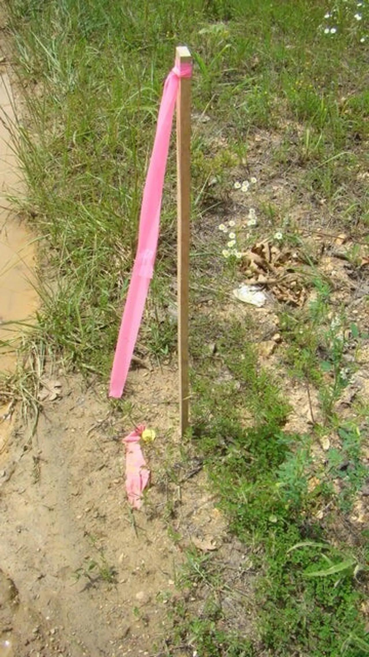 69528428-2