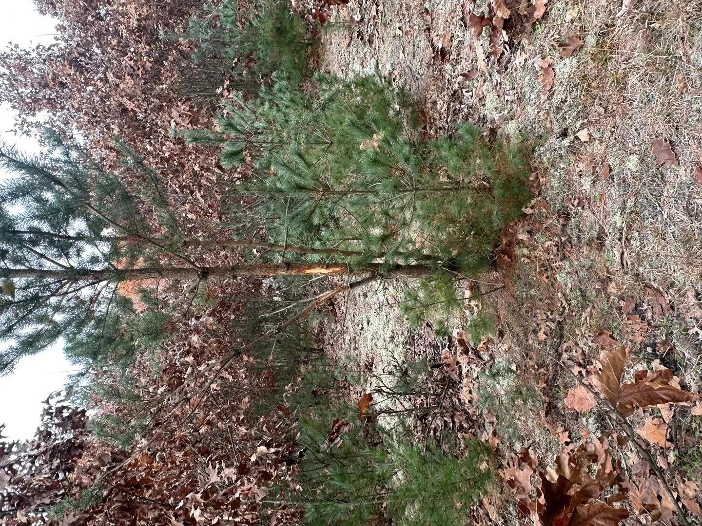 69548402-25