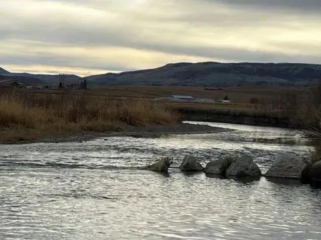 69564123-19