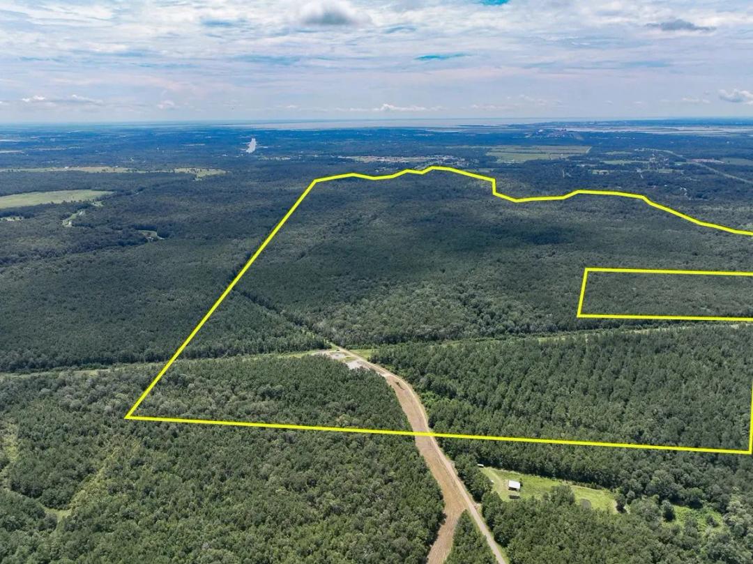 1,018 Acres | Trainer Lane | 02493