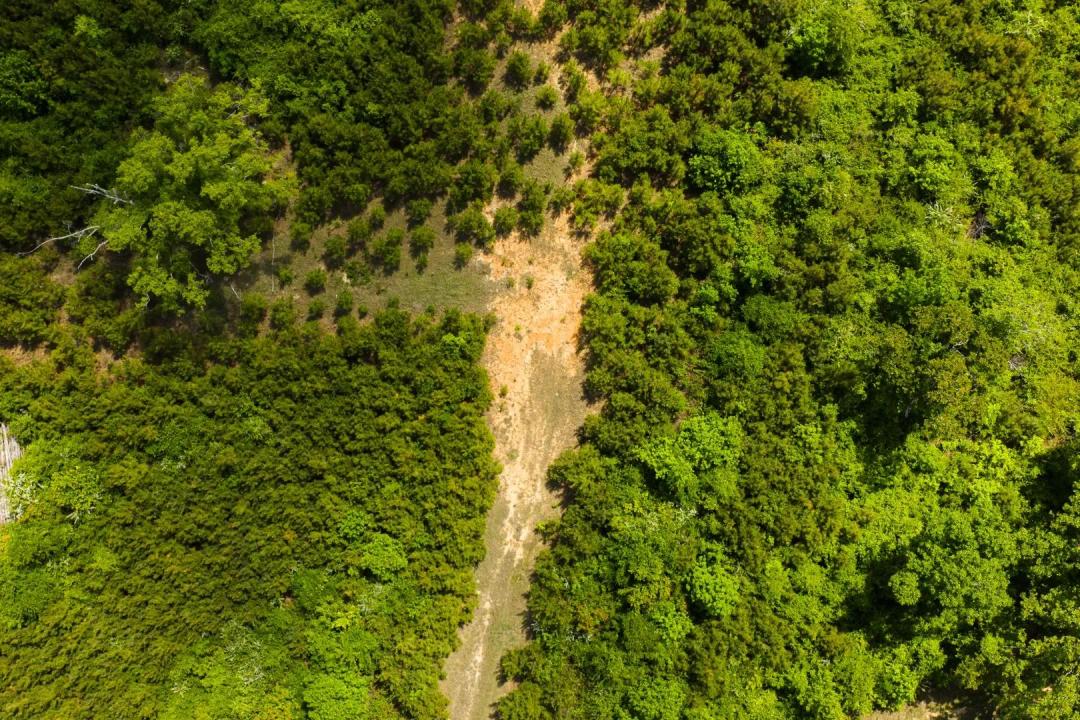 20 Acres in Winston County, MS 