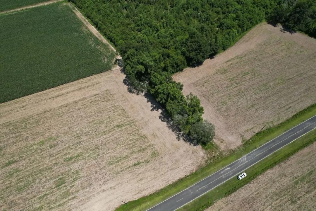 2 Acre Residential Homesite Available in Columbus County NC!