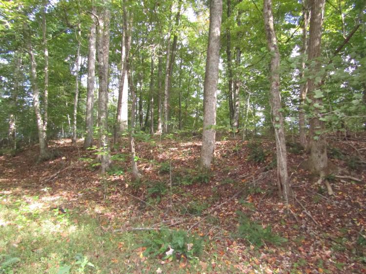 10 AC, MTN VIEWS, TOTALLY WOODED, UTILITIES AVAIL, GREAT BUILDING SITE