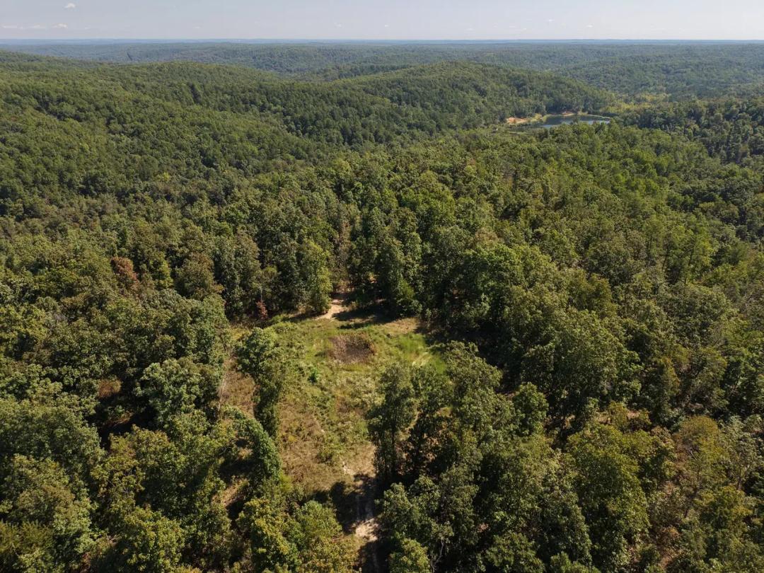 000 Coldwater Creek Road (Lot 3), Womack, MO-Ste. Genevieve Co. 5.87 +/- Acres