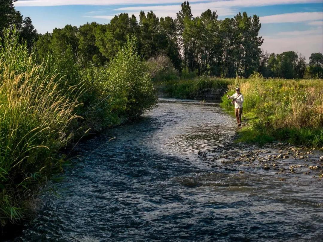 East Gallatin Riverlands