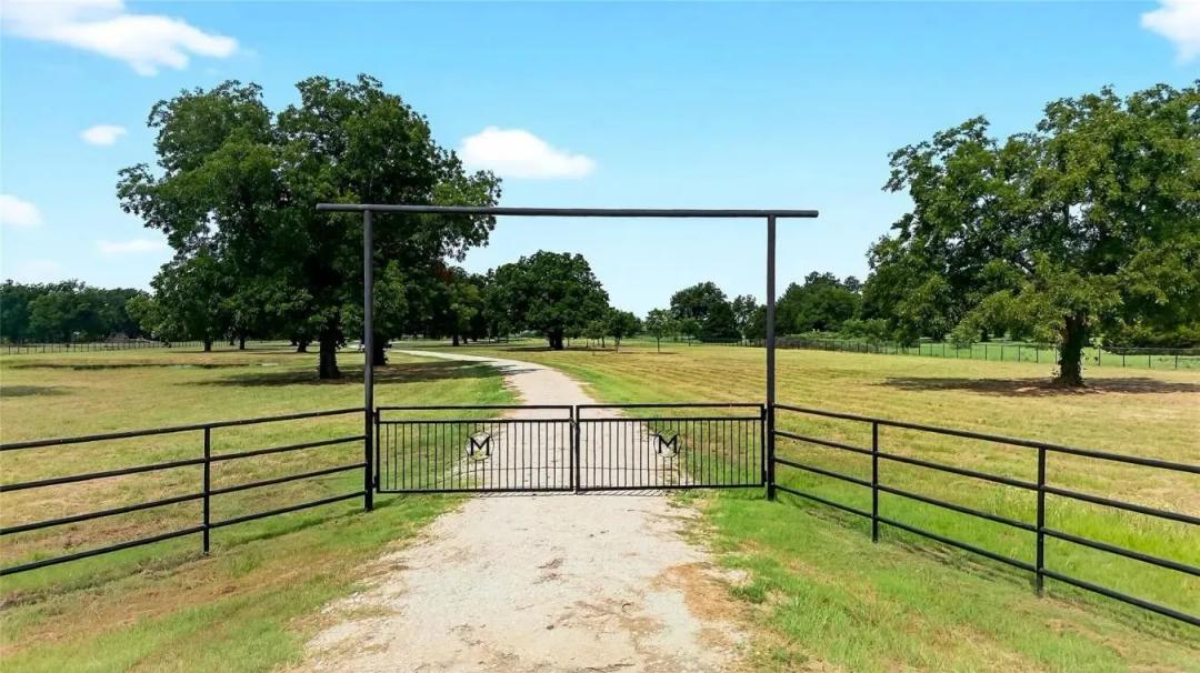 11 Acres of Pecan Trees