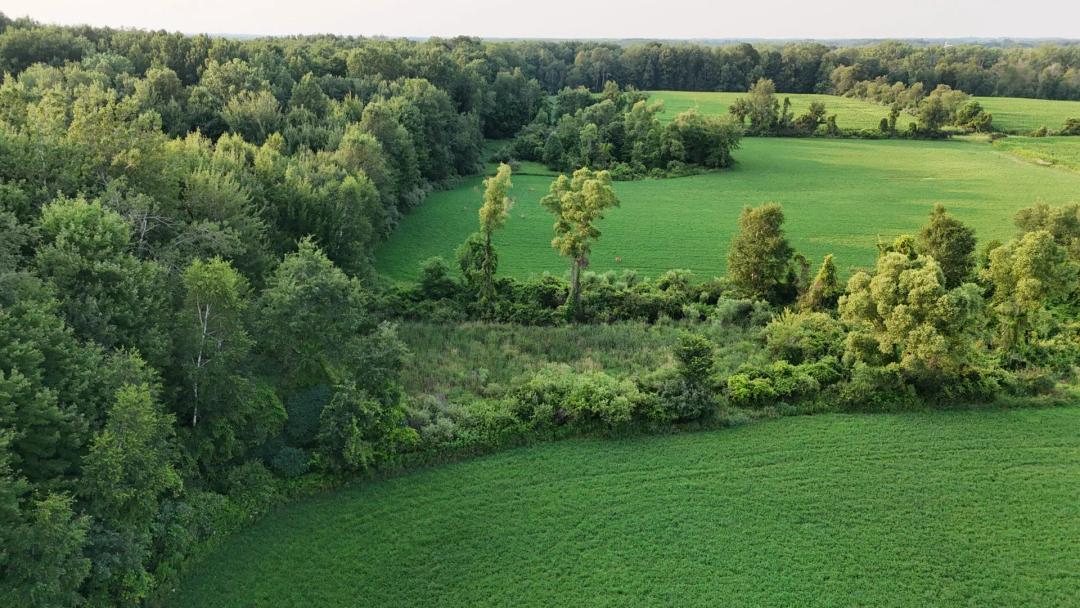 Robinson Rd 80