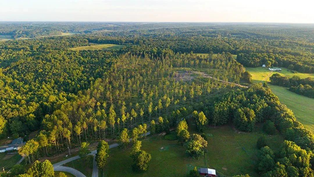 38 Acres in Wayne County, TN 